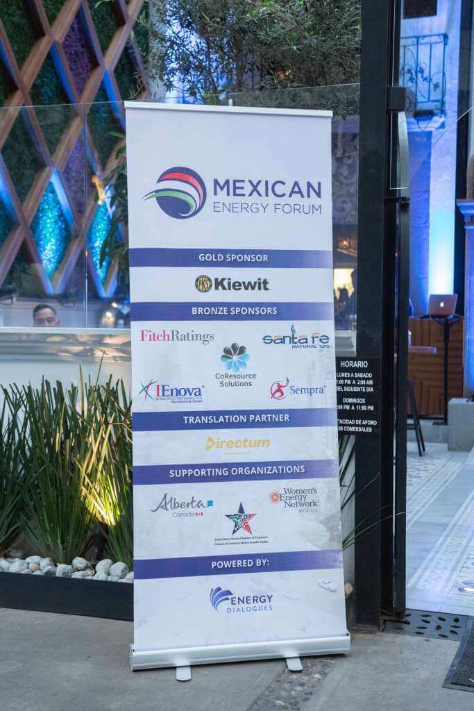 Mexican Energy Forum 2019_small (218)