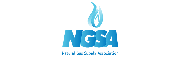 NGSA-(Website)