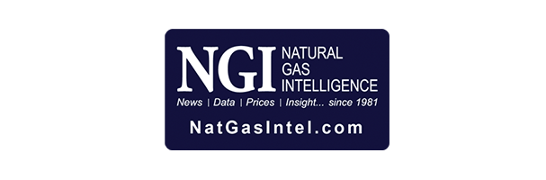 NGI_Logo (Web)