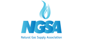 NGSA-(Website)