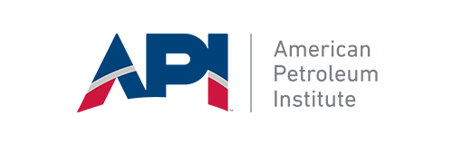 API_Logo