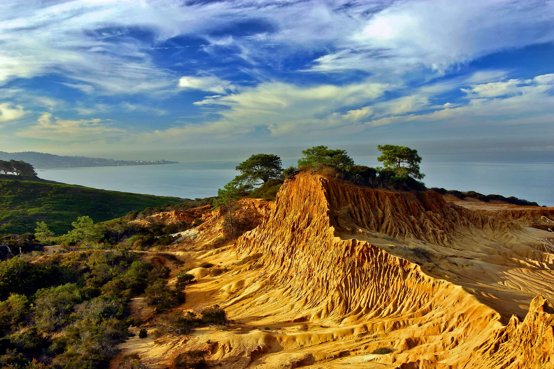 Torrey Pines coastline